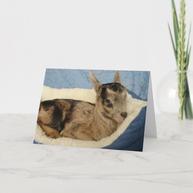 Carte Une Bouteille Nommée Aussie (Devant)