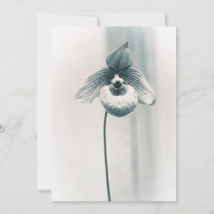 Carte Une fleur d'orchidée