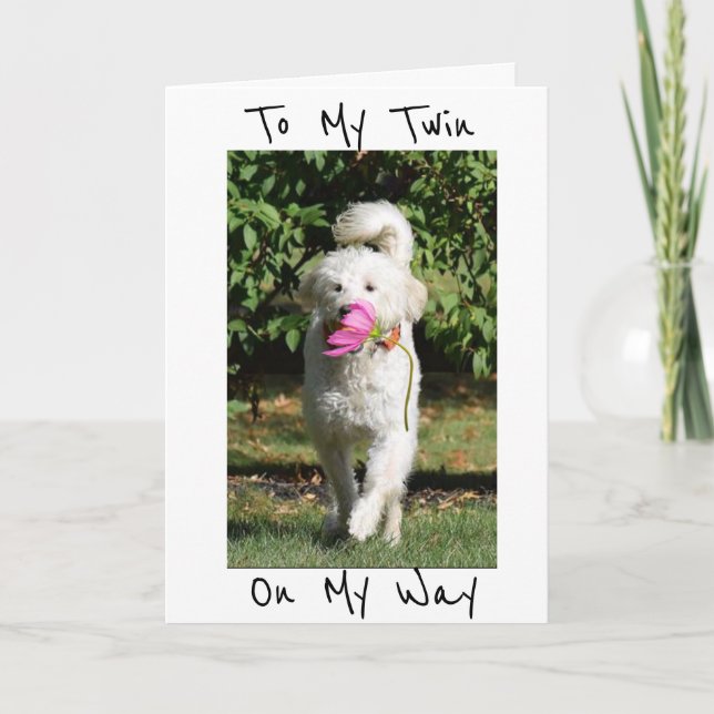 CARTE UNE FLEURS ET UN ANNIVERSAIRE SOUHAITEZ À MON ***T (Devant)