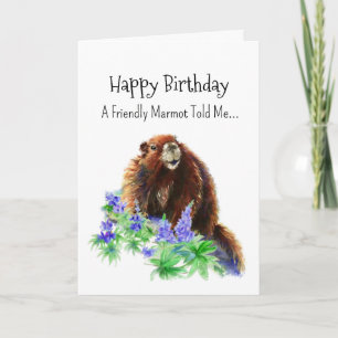 Carte Une Marmot Groundhog Personnalité Anniversaire Ani