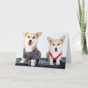 Carte Une paire de Corgis se reposant sur un banc