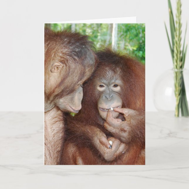 Carte Une Princesse reçoit tous les soins (Devant)