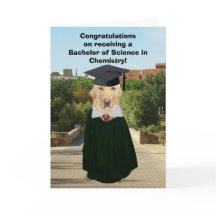 Université de Funny Lab