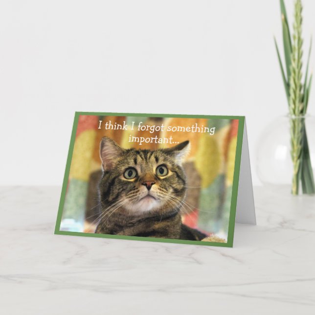 Carte Upset Tabby Cat Anniversaire Belated (Devant)