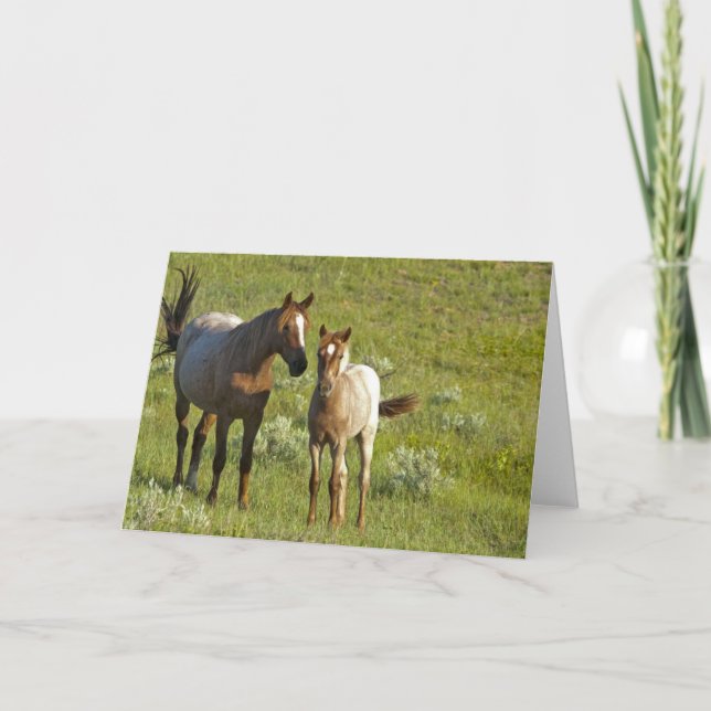 Carte US35 CHA0209.jpg (Devant)