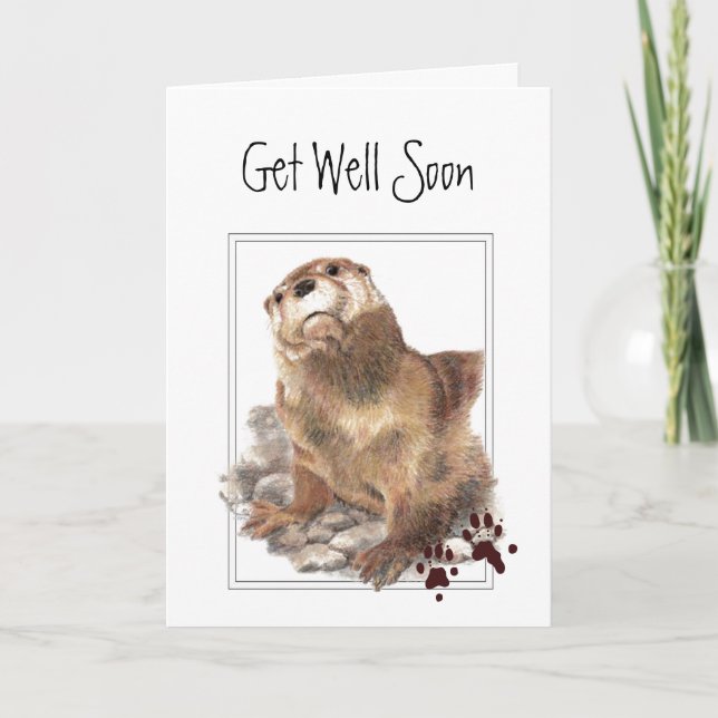Carte Va Bien Bientôt, Je M'Intéresse, Mignonne Otter &  (Devant)