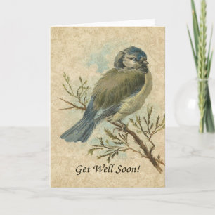 Carte Va Bien Bientôt, Vintage Bluetit Bird