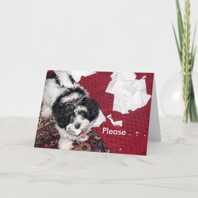 Carte Va Bien, Puppy. (Devant)