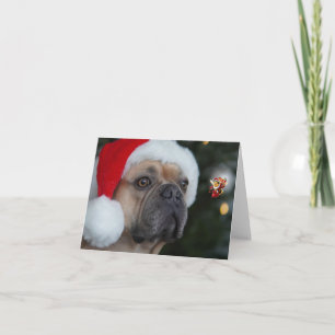 Carte Vacances Happ-Bee.