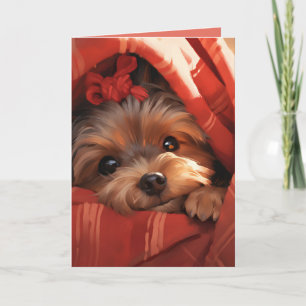 Carte Vacances Yorkshire Terrier