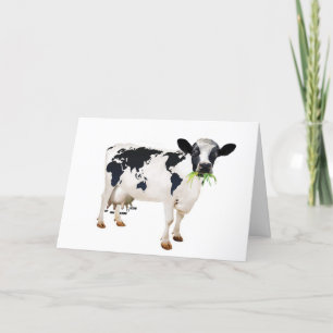 Carte Vache à lait