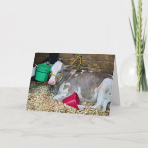 Carte Vache d'anniversaire dans un enclos de grange avec