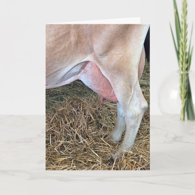 Carte Vache d'anniversaire debout sur du foin (Devant)