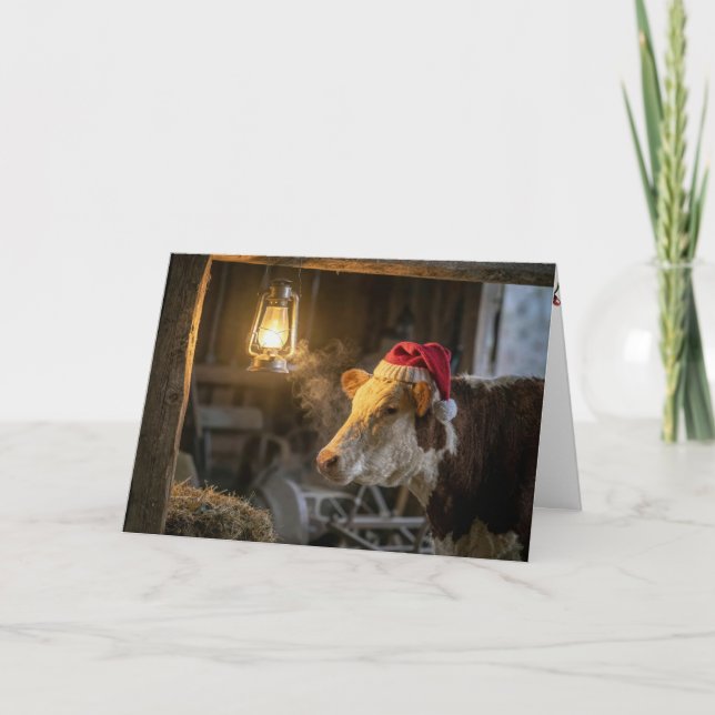 Carte Vache Hereford de Noël dans une grange (Devant)
