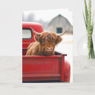 Carte Vache Highlandaise de Nouvelle Maison dans un Cami