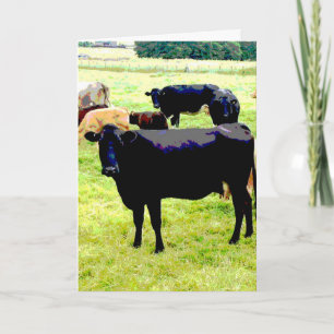 Carte vache noire