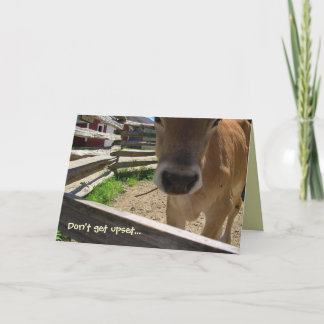 Carte Vaches 50e anniversaire