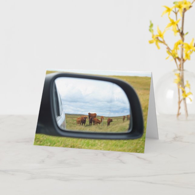 Carte Vaches dans le miroir (Fleur jaune)