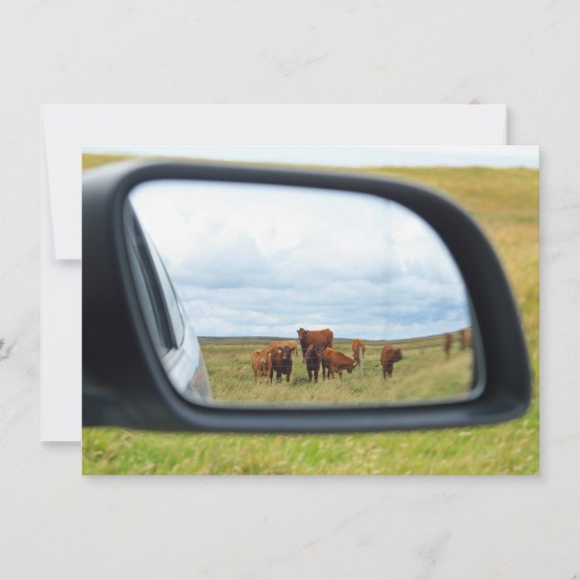 Carte Vaches dans le miroir (Devant)