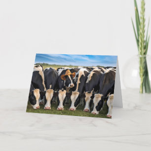 Carte Vaches Holstein nées le jour de leur anniversaire 
