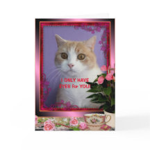 Valentin drôle de chat personnalisable