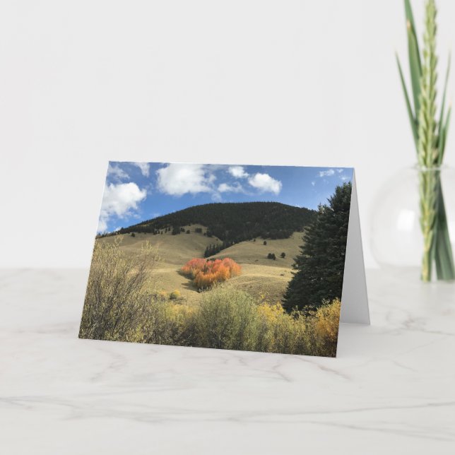 Carte Valentine Card avec Heart Shaped Aspens (Devant)