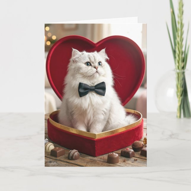 Carte Valentine Persian Cat In Candy Box (Devant)
