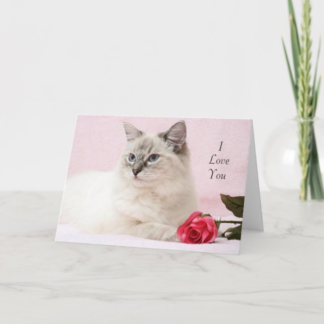 Carte Valentine Ragdoll (Devant)
