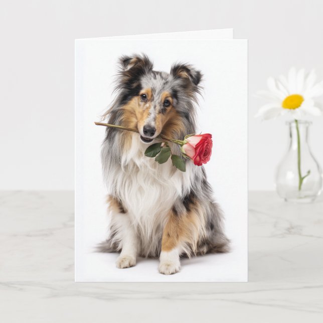 Carte Valentine Sheltie Merle Bleu – Dévotion Douce (Petite plante)