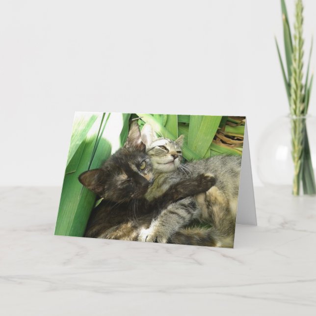 Carte Valentines Cute Kittens (Devant)