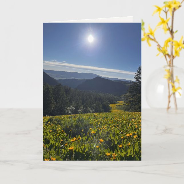Carte Vallée Ensoleillée (Fleur jaune)