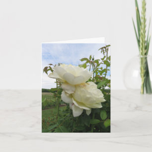 Carte Vanessa Bell Rose jaune, Verticale