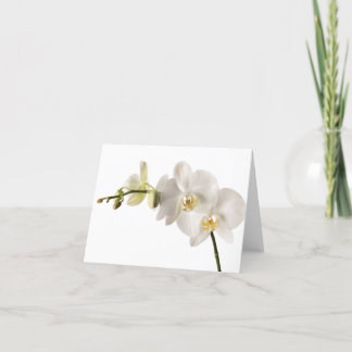 Carte Vaporisateur floral blanc Dendrobium Orchidée