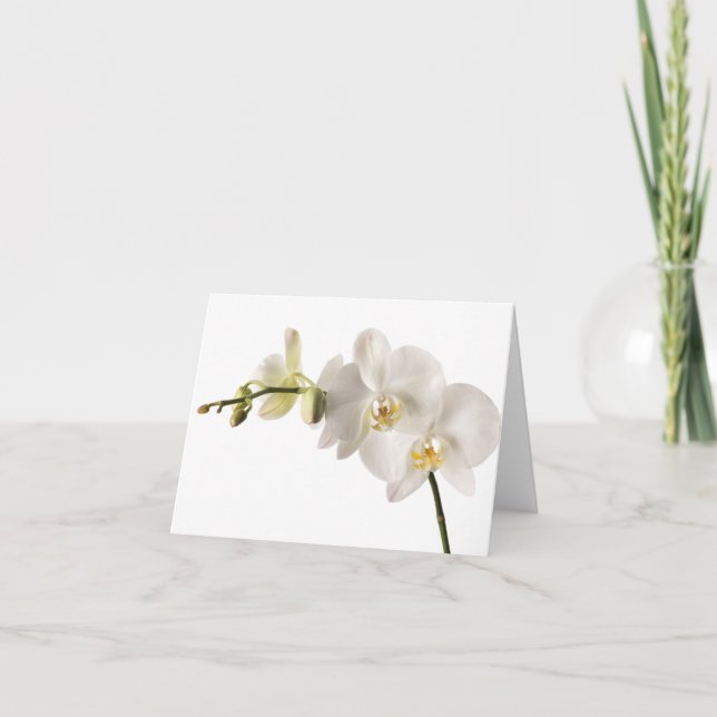 Carte Vaporisateur floral blanc Dendrobium Orchidée (Devant)