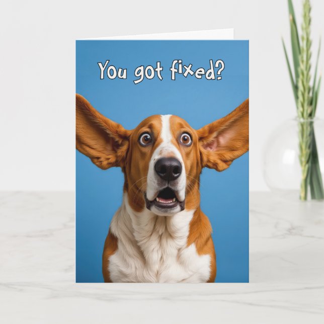 Carte Vasectomy Basset Hound Dog Humor (Devant)
