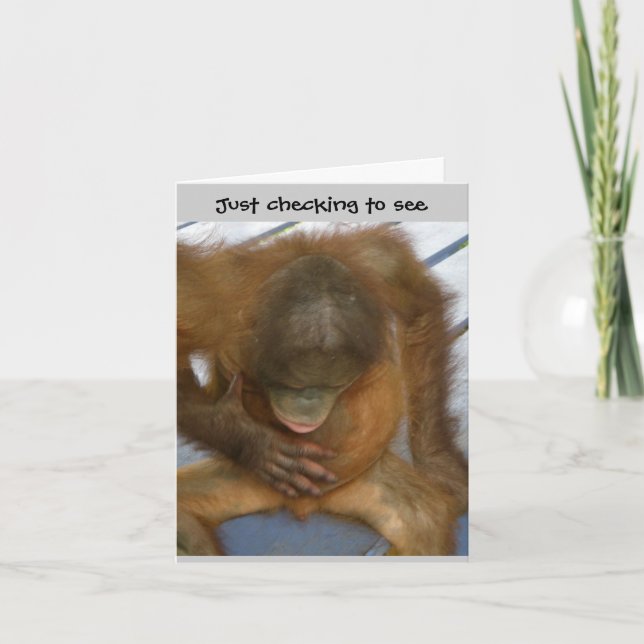 Carte Vasectomy Surgery Humor (Devant)