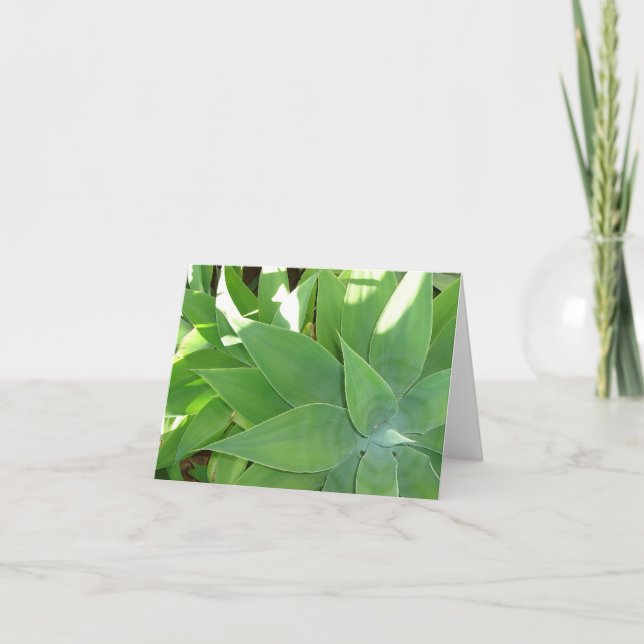 Carte Verdure v2 (Devant)