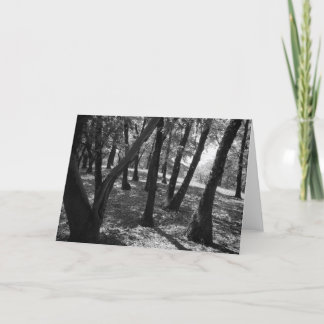 Carte Verger chez Hopland Station, 1966