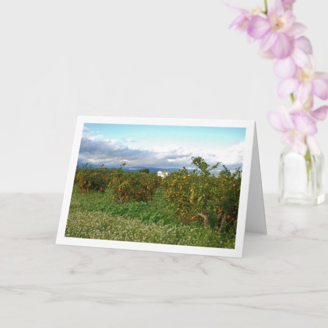 Carte Verger d'orangers, Valence, Espagne (Orchidée)