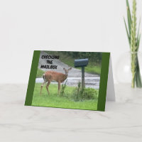 **VÉRIFIEZ VOTRE BOÎTE AUX LETTRES POUR VOTRE ANNI