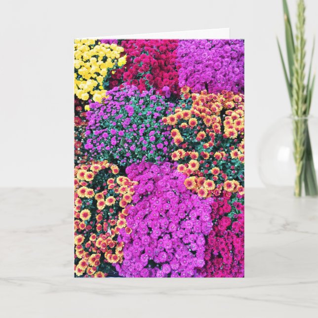 Carte verte (Devant)