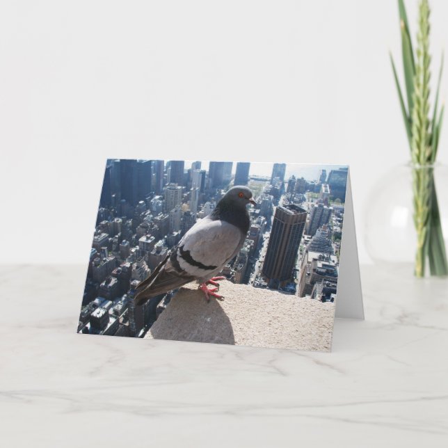 Carte verte (Devant)