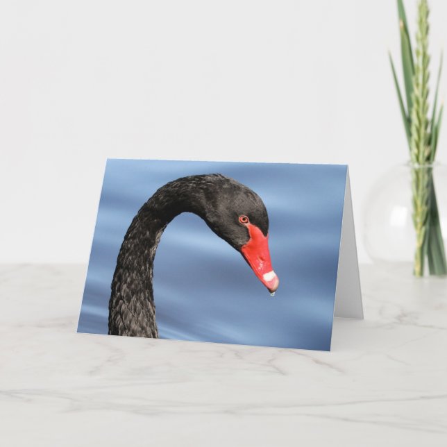 Carte verte (Devant)