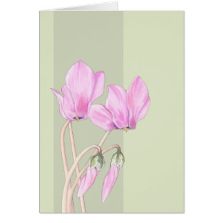 Carte verte Cyclamens roses
