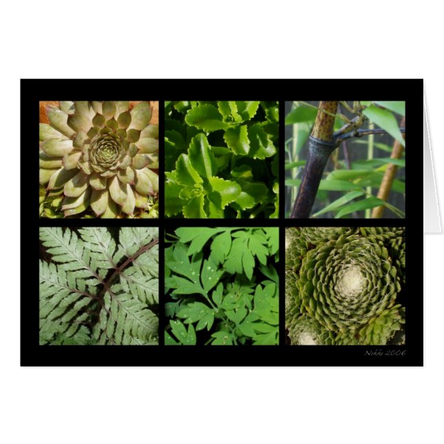 Carte verte de feuillage (Devant horizontal)