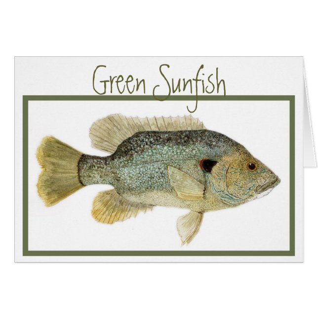Carte verte de Sunfish (Devant horizontal)