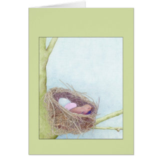 Carte verte nid d'oiseaux