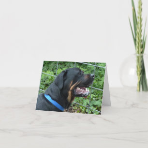 Carte verte rouge