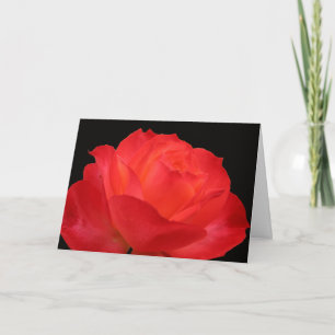 Carte vibrante de rose rouge-orange pour la fête d