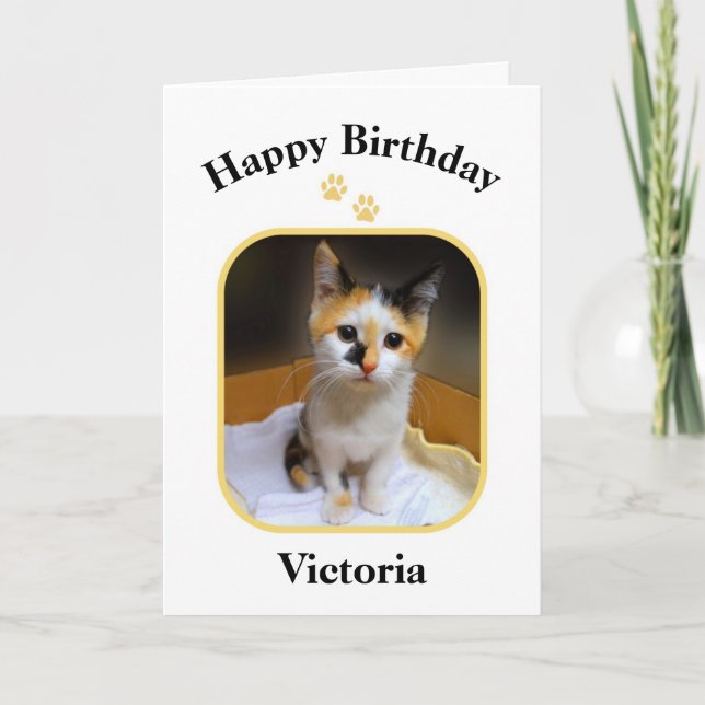Carte Victoria Calico Kitten Joyeux anniversaire (Devant)